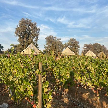 Lago Valle Wine Glamping Valle de Guadalupe Ngoại thất bức ảnh