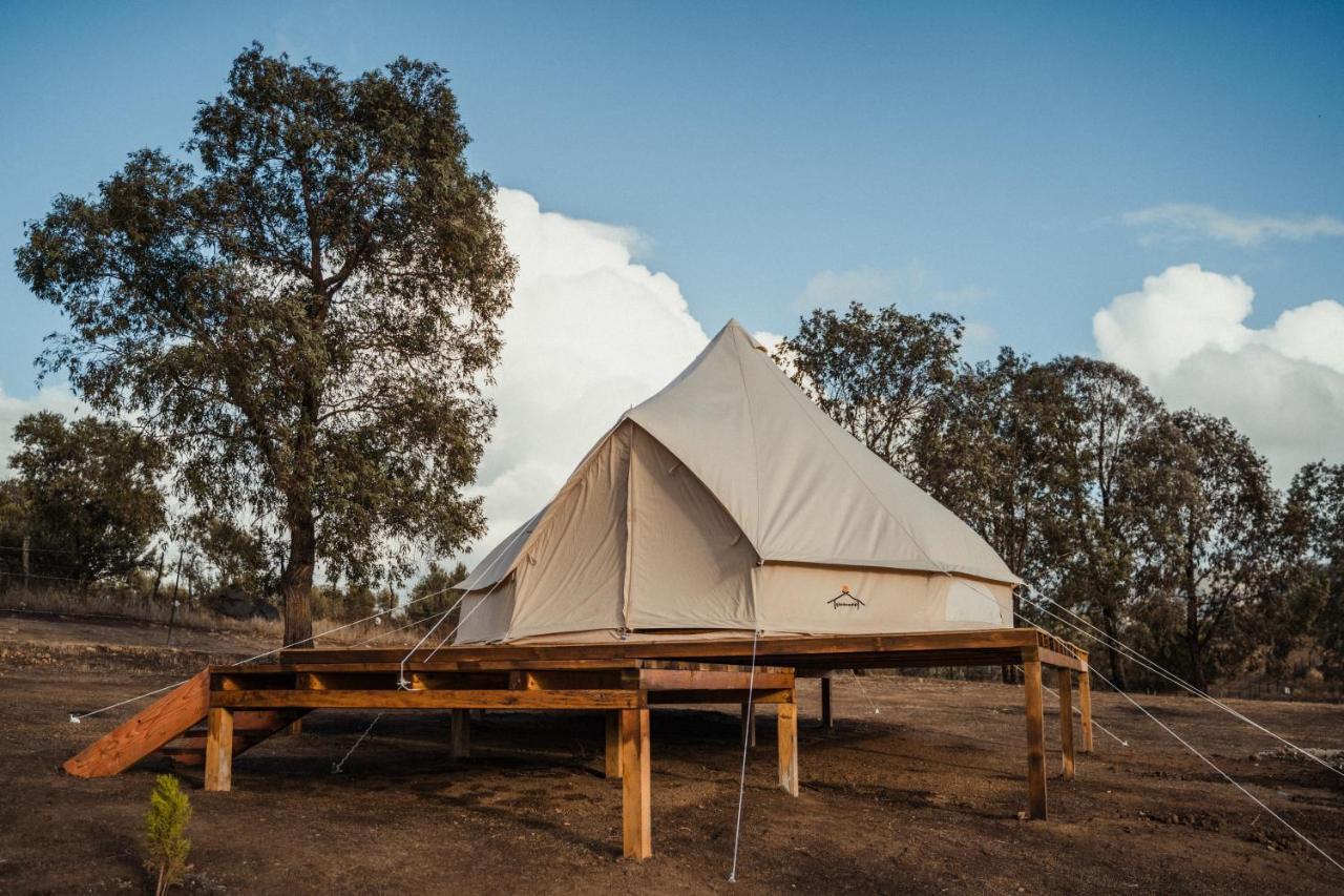 Lago Valle Wine Glamping Valle de Guadalupe Ngoại thất bức ảnh