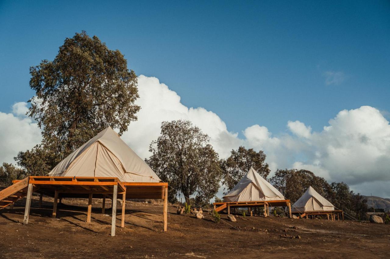 Lago Valle Wine Glamping Valle de Guadalupe Ngoại thất bức ảnh