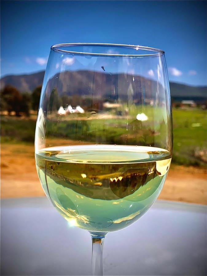 Lago Valle Wine Glamping Valle de Guadalupe Ngoại thất bức ảnh