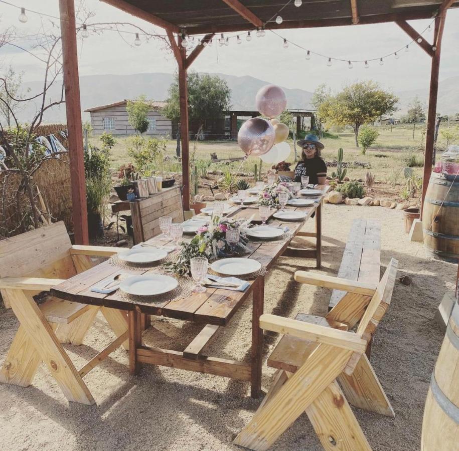Lago Valle Wine Glamping Valle de Guadalupe Ngoại thất bức ảnh