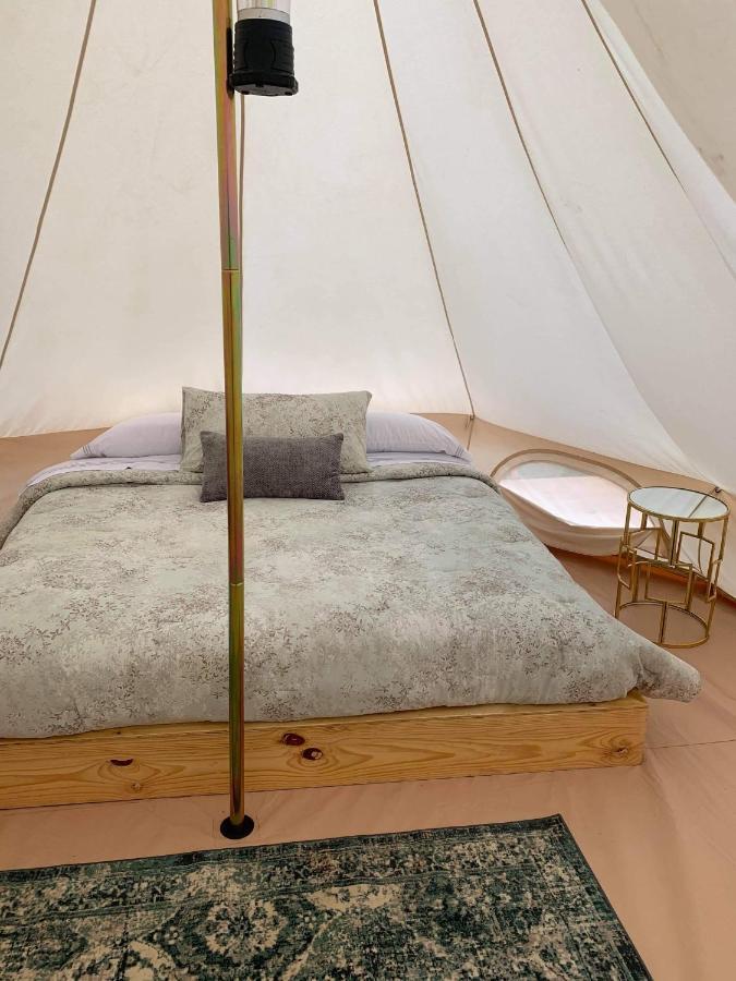 Lago Valle Wine Glamping Valle de Guadalupe Ngoại thất bức ảnh