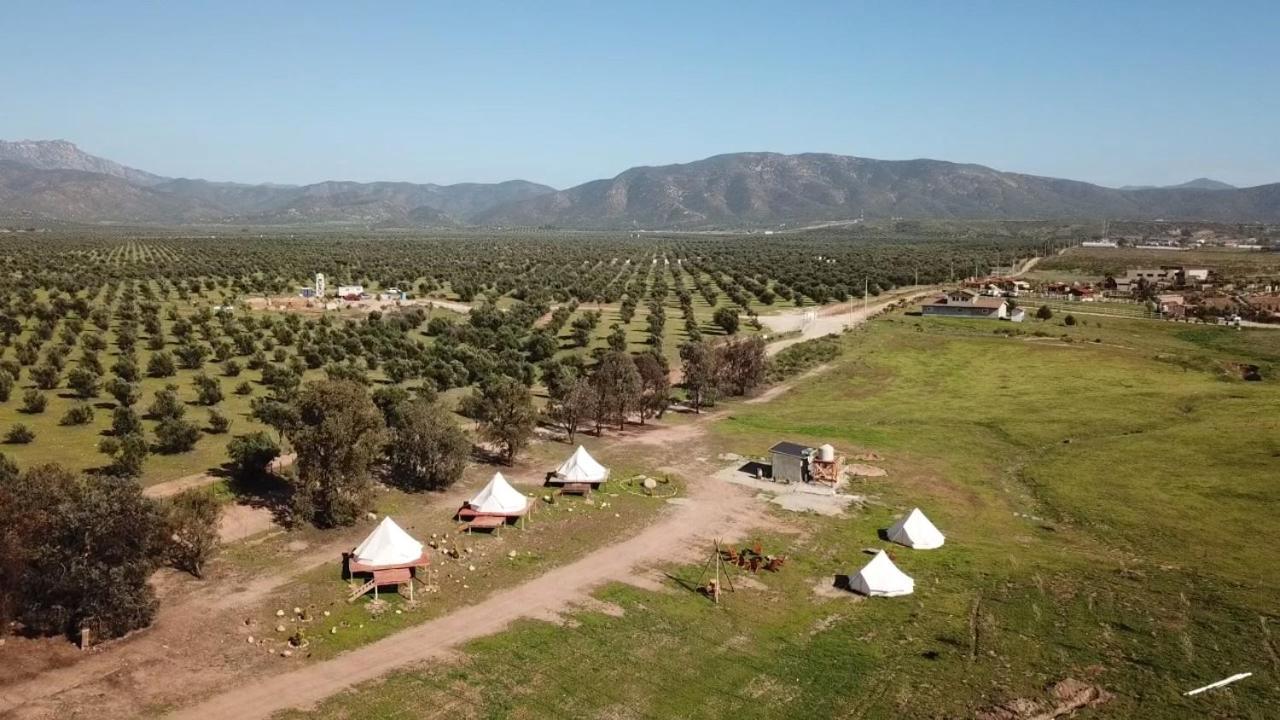 Lago Valle Wine Glamping Valle de Guadalupe Ngoại thất bức ảnh