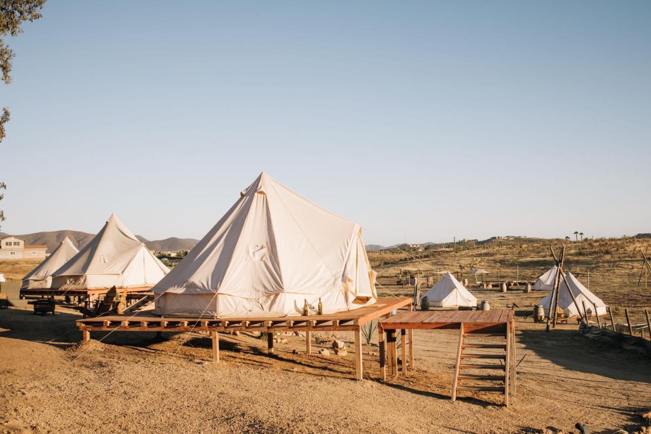 Lago Valle Wine Glamping Valle de Guadalupe Ngoại thất bức ảnh