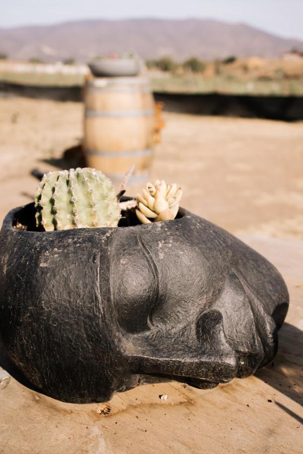 Lago Valle Wine Glamping Valle de Guadalupe Ngoại thất bức ảnh