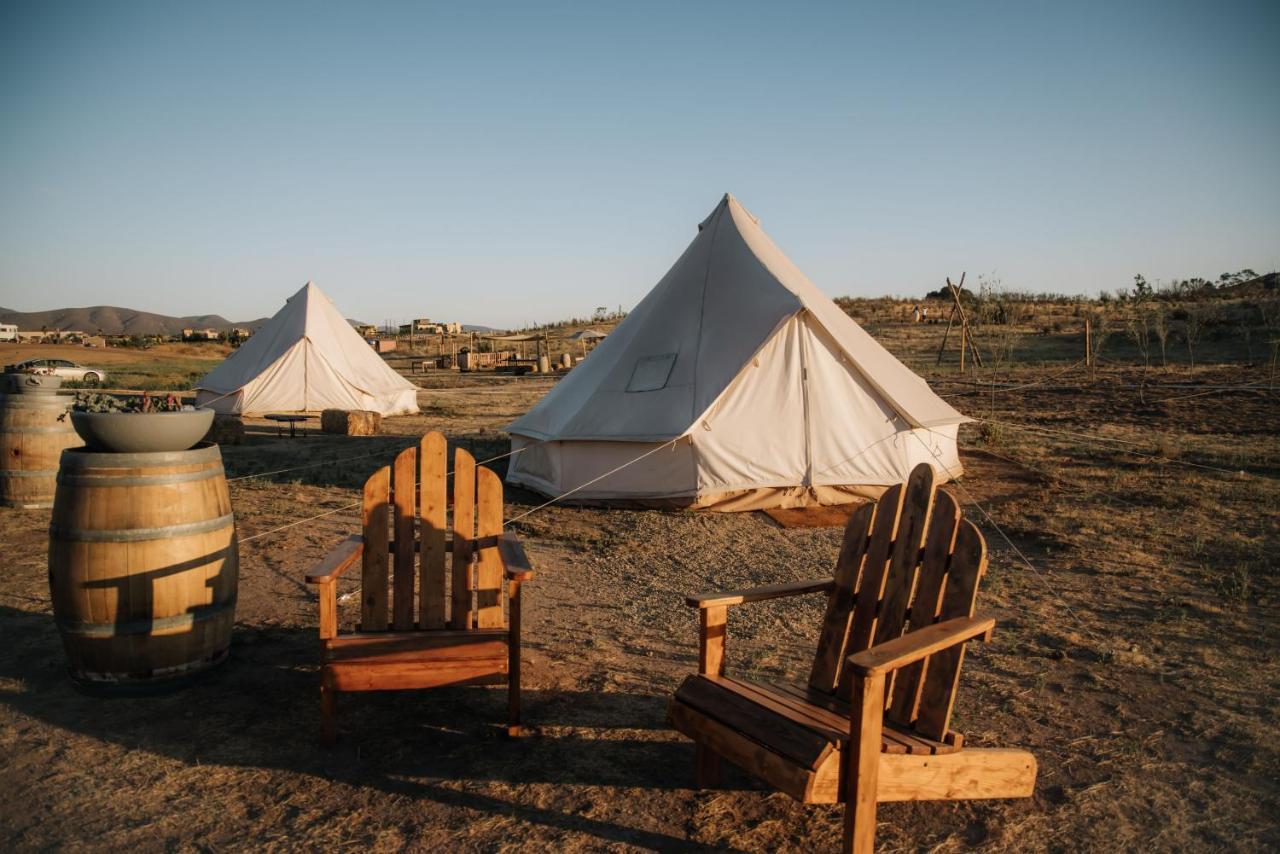 Lago Valle Wine Glamping Valle de Guadalupe Ngoại thất bức ảnh