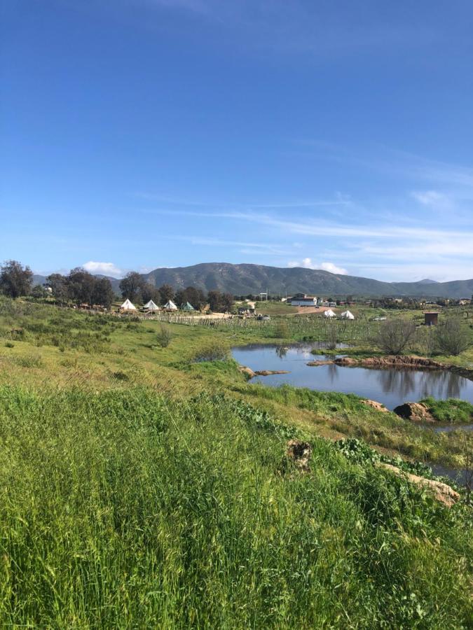 Lago Valle Wine Glamping Valle de Guadalupe Ngoại thất bức ảnh