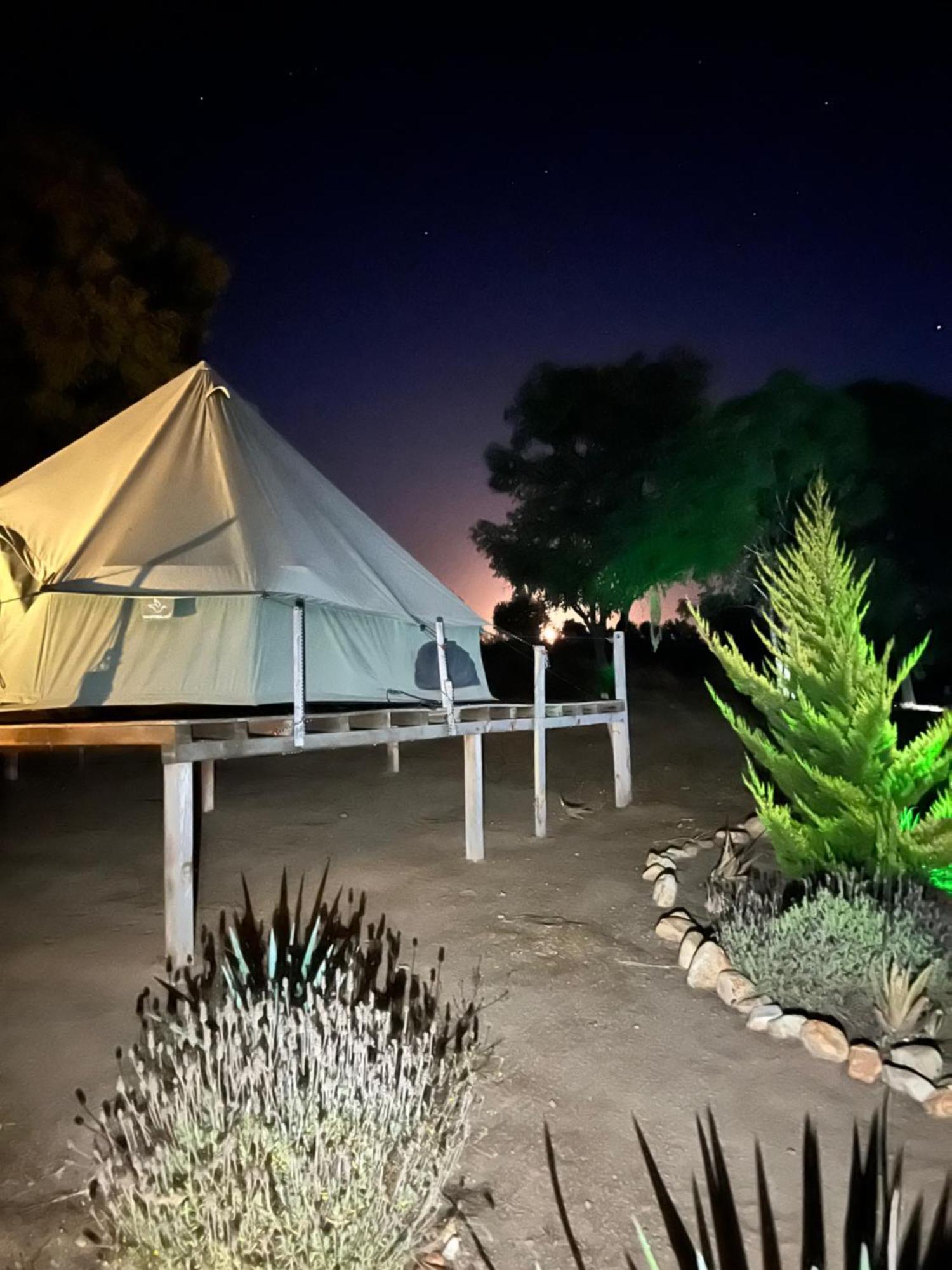 Lago Valle Wine Glamping Valle de Guadalupe Ngoại thất bức ảnh