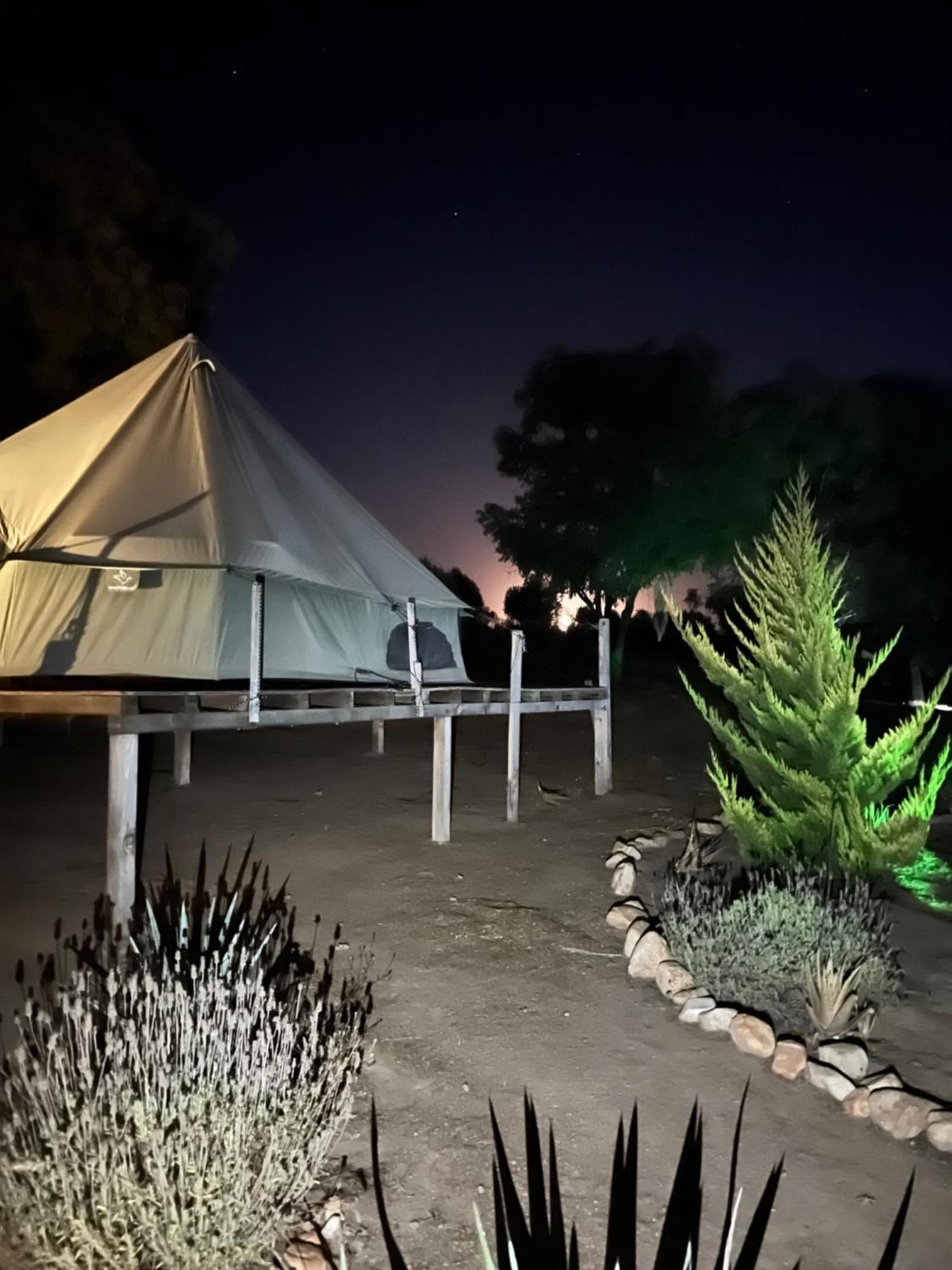 Lago Valle Wine Glamping Valle de Guadalupe Ngoại thất bức ảnh